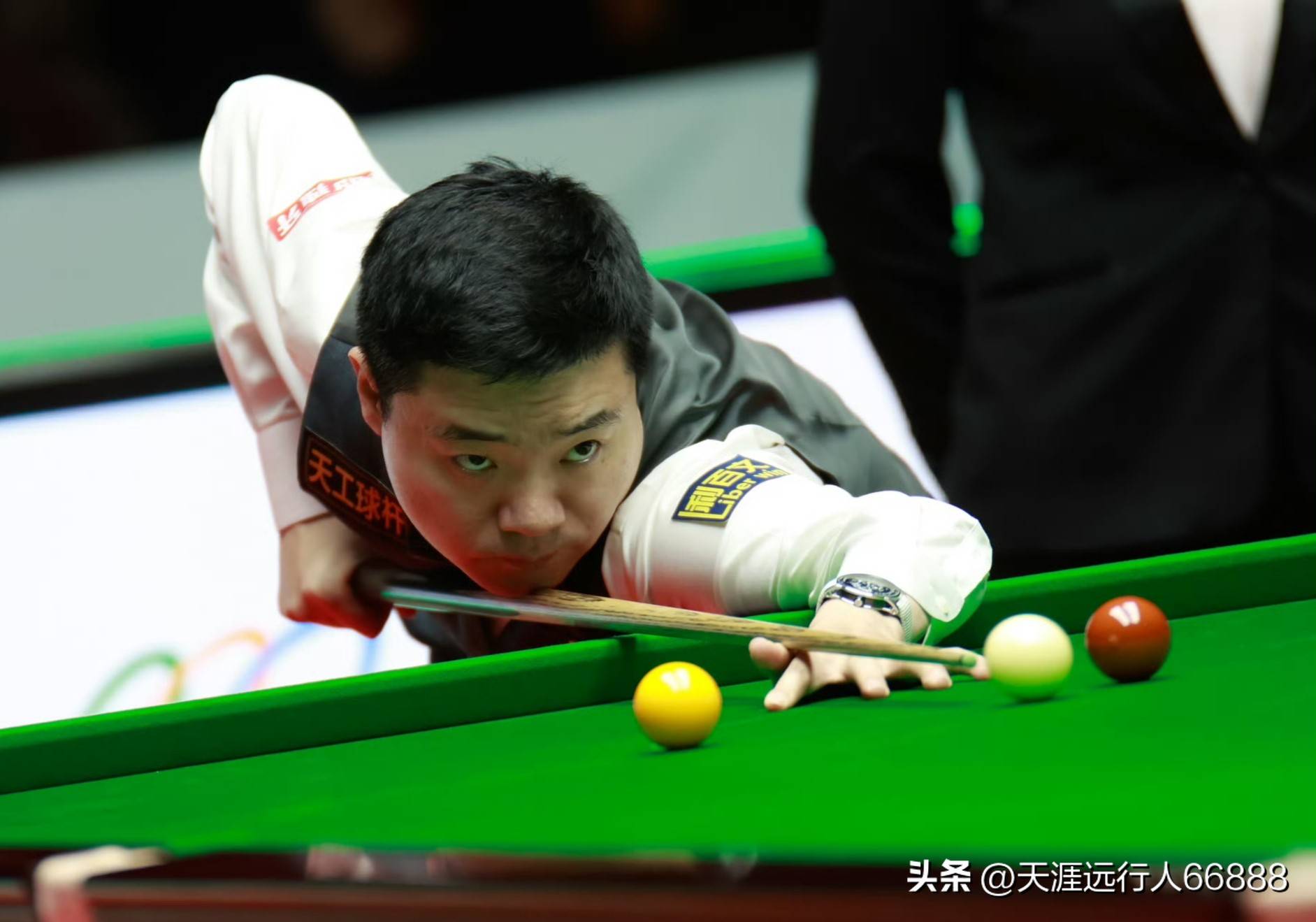 它们其实在 它们其实在